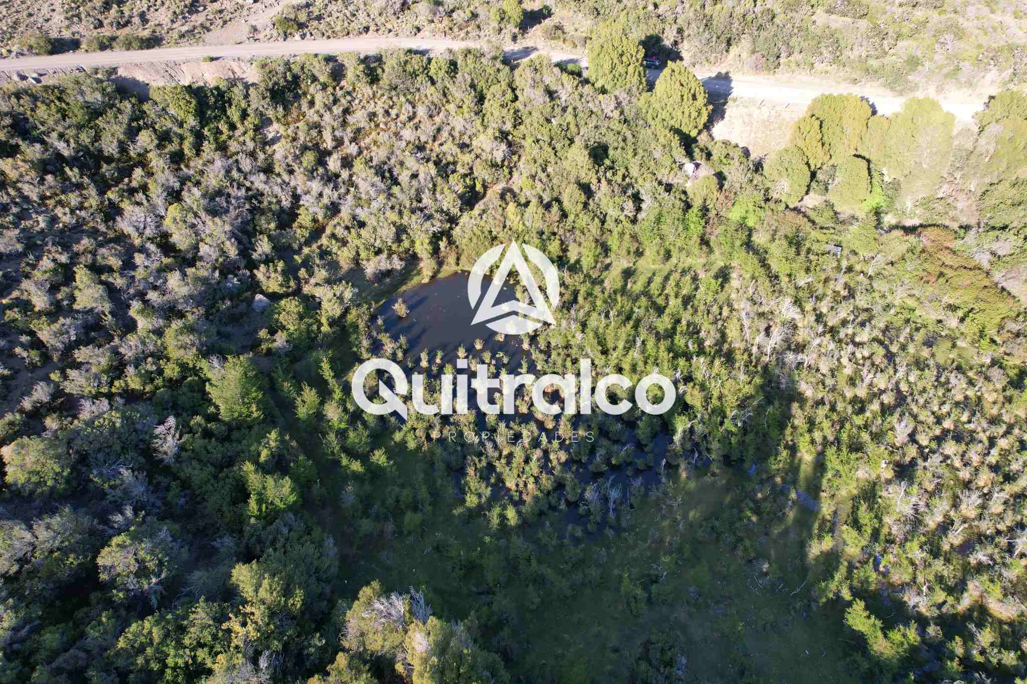 Propiedad Río Ibañez - Sector el Maitenal