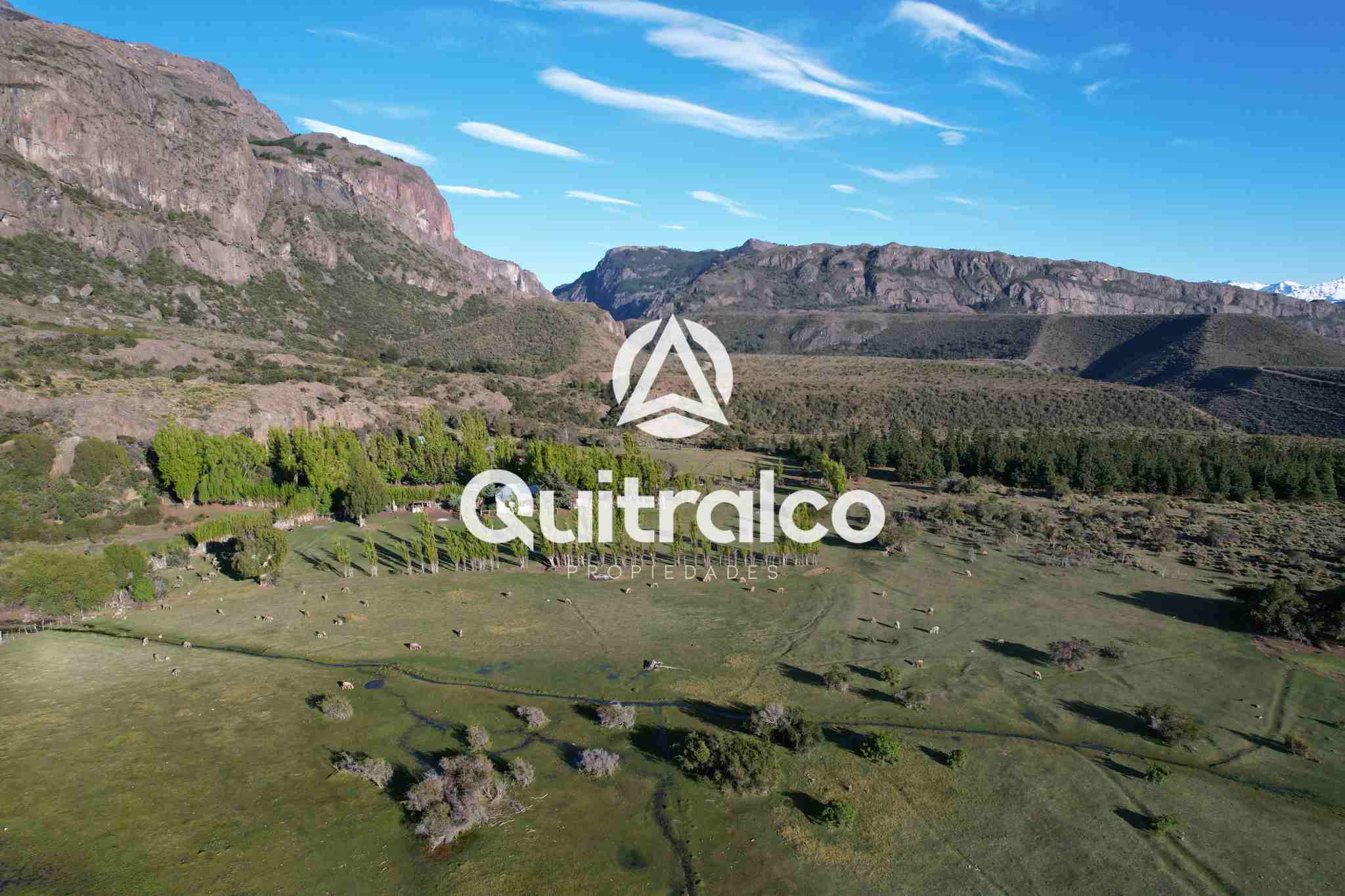 Propiedad Río Ibañez - Sector el Maitenal