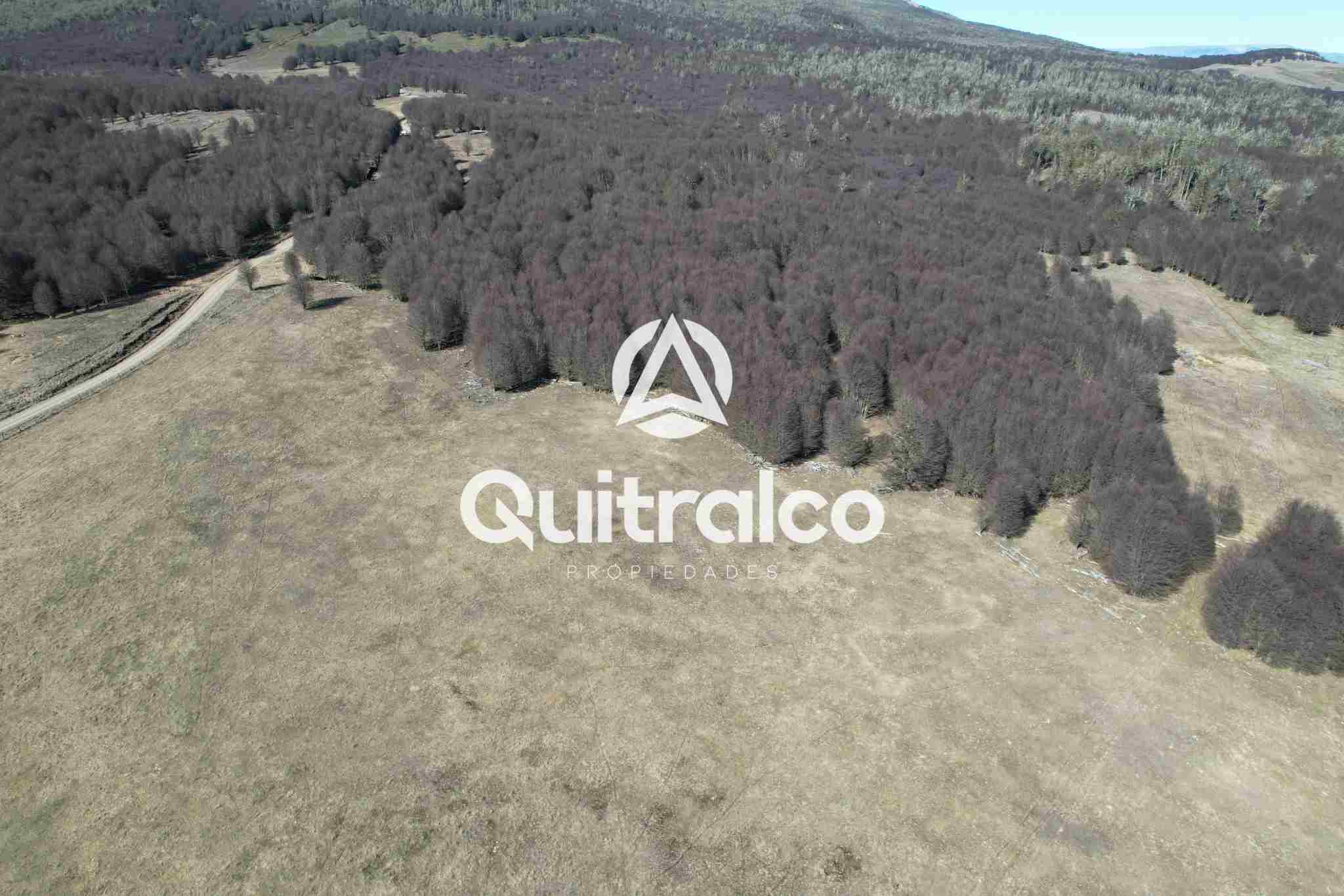 2 Propiedad Sector Lago Pollux - Callejón Mardones