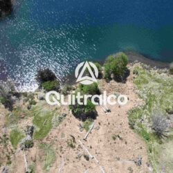 Orilla del Lago Monreal con bosques de lengas y praderas