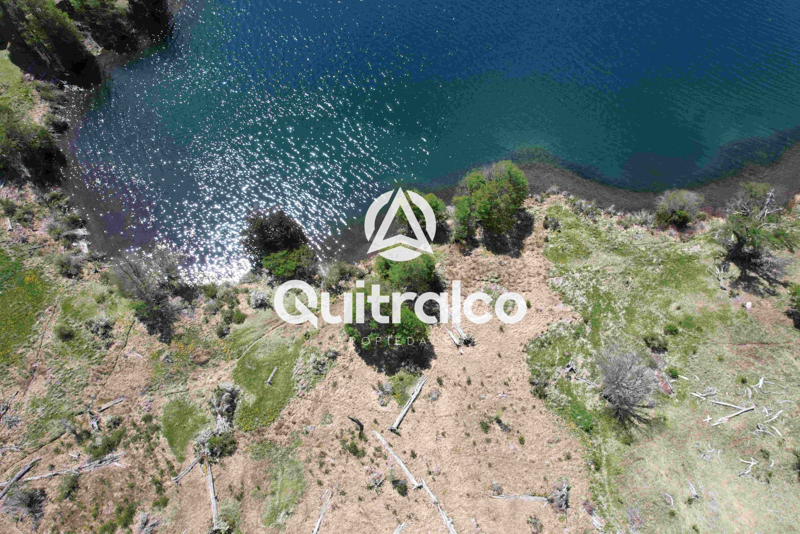 Orilla del Lago Monreal con bosques de lengas y praderas