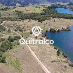 Orilla del Lago Monreal con bosques de lengas y praderas