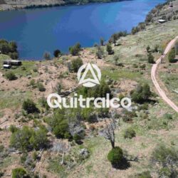 Orilla del Lago Monreal con bosques de lengas y praderas