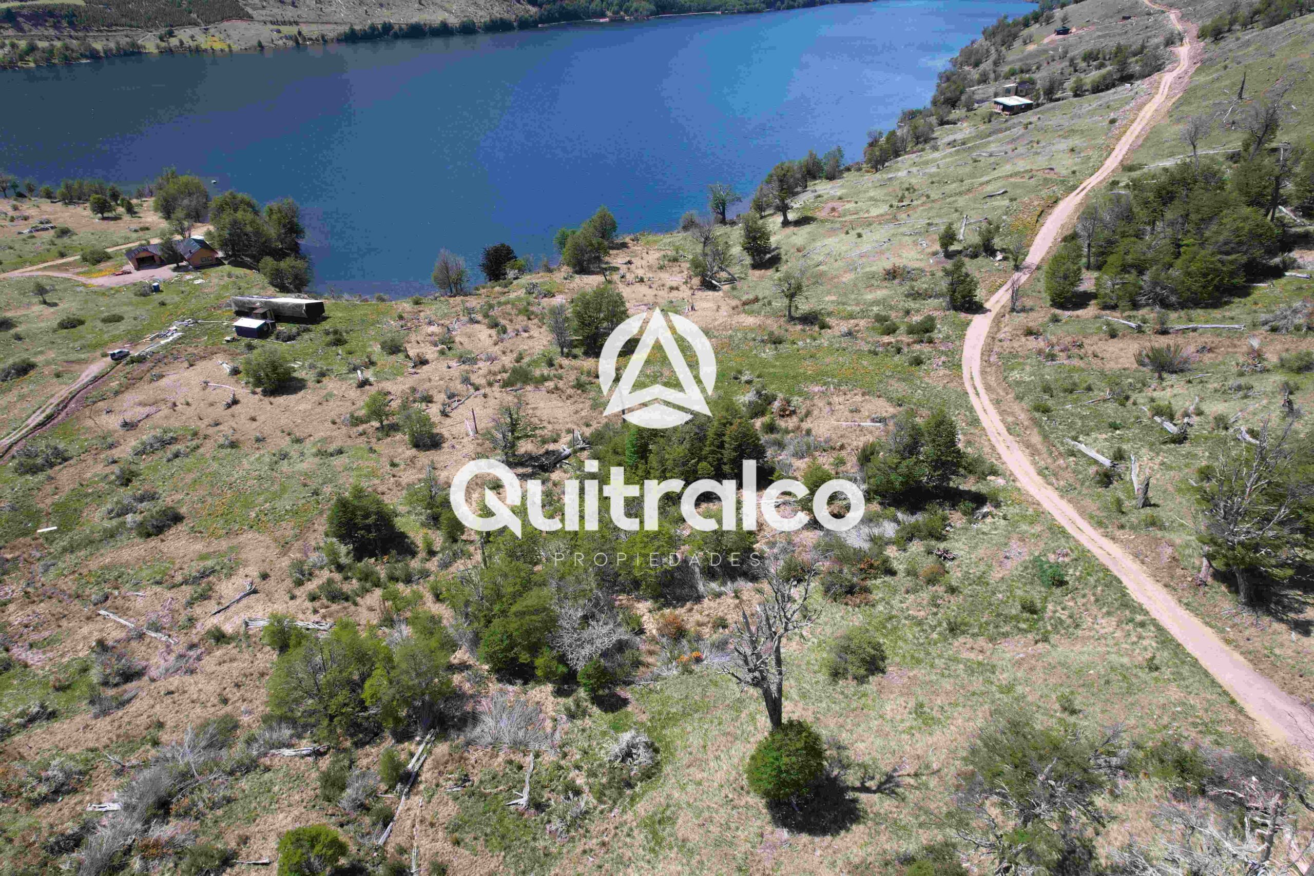 Orilla del Lago Monreal con bosques de lengas y praderas