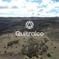 Campo en Coyhaique Patagonia – terreno ganadero y eólico