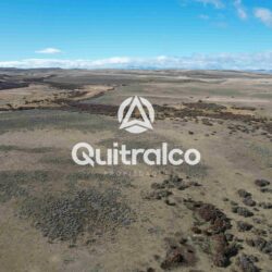 Campo en Coyhaique Patagonia – terreno ganadero y eólico