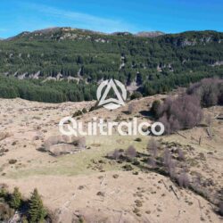 Campo de 43 hectáreas cerca de Villa Mañihuales – acceso todo el año