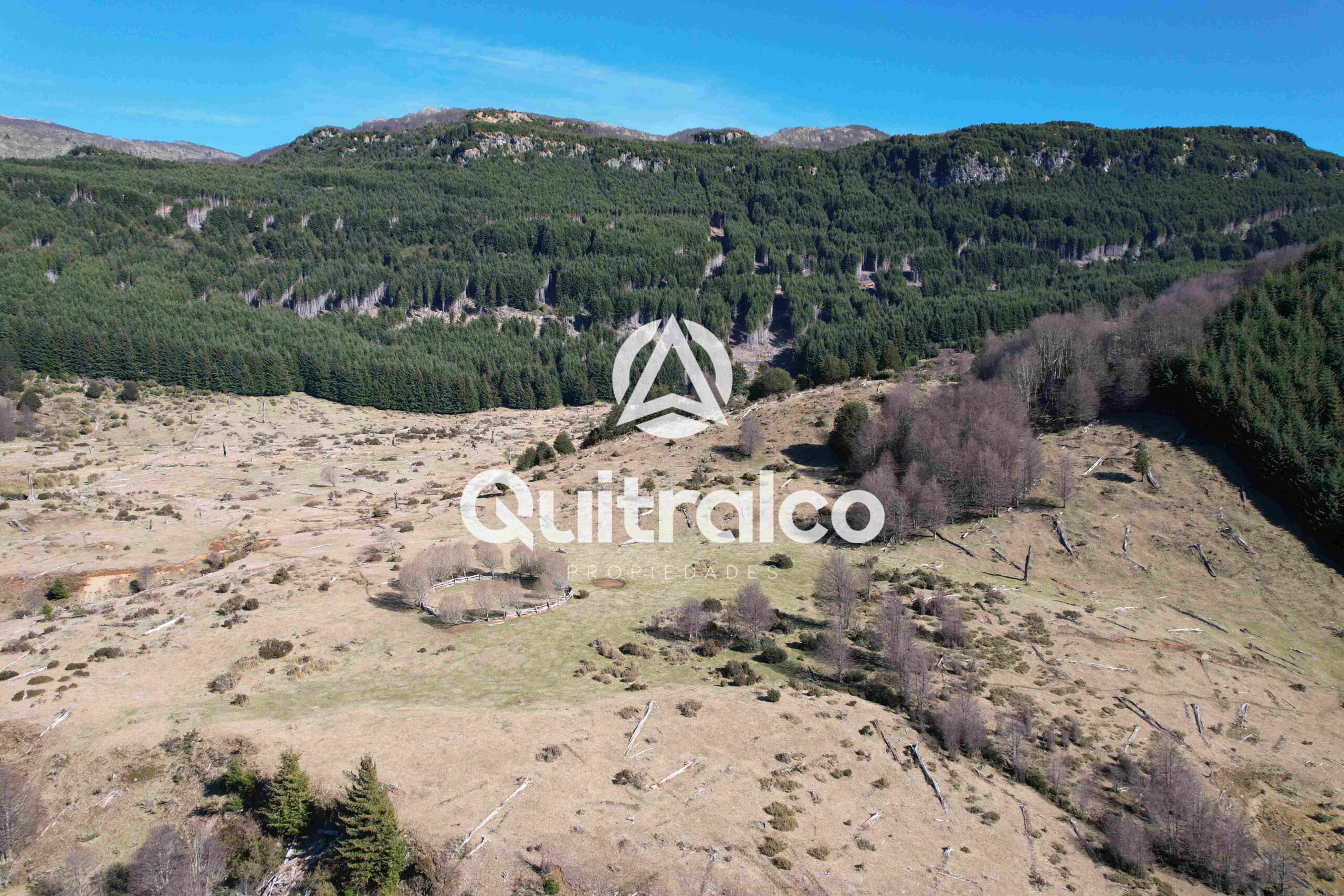 Campo de 43 hectáreas cerca de Villa Mañihuales – acceso todo el año